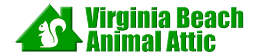 Virginia Beach Animal Attic